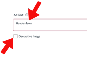 Canvas image upload pane with alt text field and decorative image checkbox options.