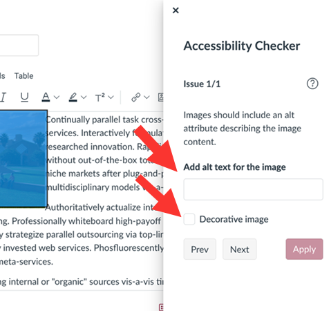 Accessibility Checker pane in Canvas