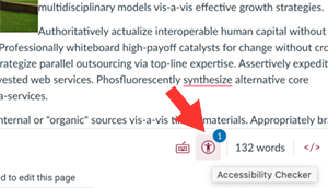 Canvas Accessibility Checker icon on the edit pane