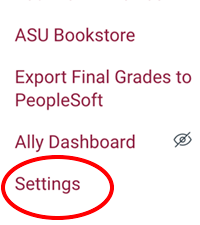 Canvas Settings menu item