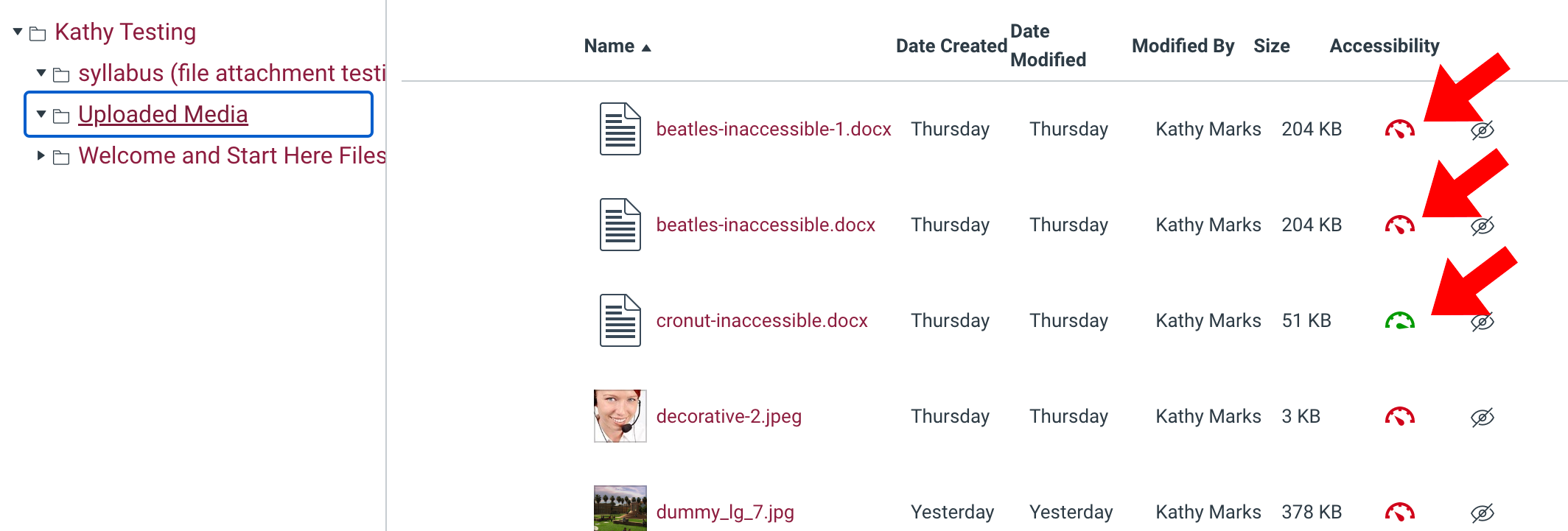 Canvas Files page with indicators beside accessible and inaccessible document files