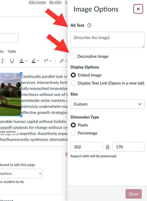 Canvas image options dialog