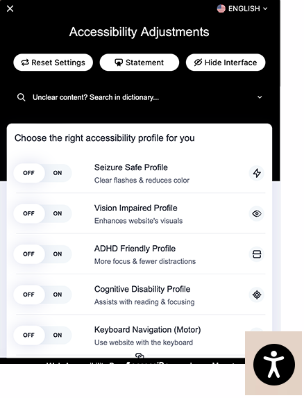 Example of an accessibility overlay icon and modal